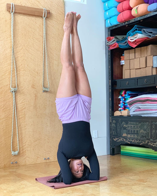 Classic Cotton Yoga Short - Lavender