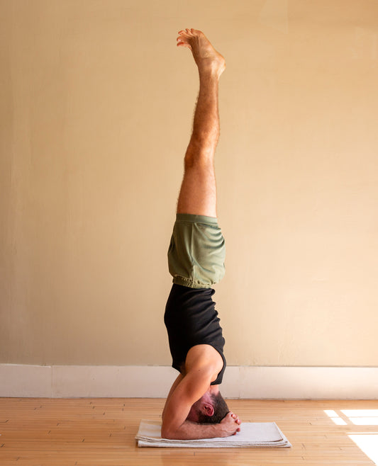 Classic Cotton Yoga Short - Thyme
